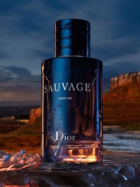 sauvage dior parfum cena|dior sauvage best price.